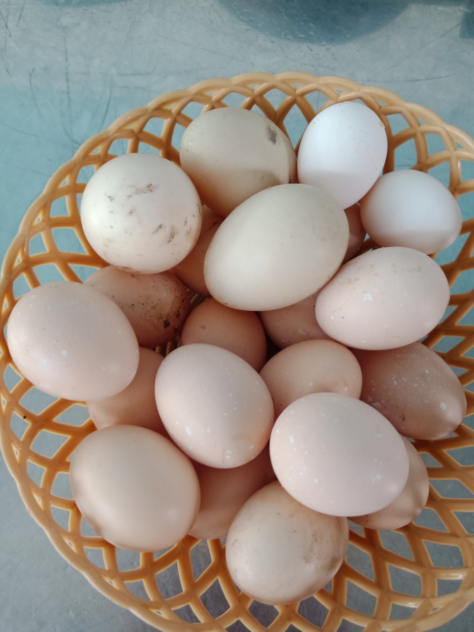 trong rau tang hang xom anh 1