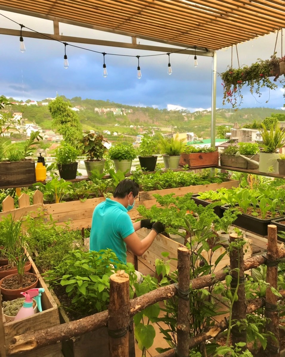 khu vườn trên mây của chàng trai Đà Lạt ảnh 5 khu vuon tren may cua chang trai Da Lat anh 5