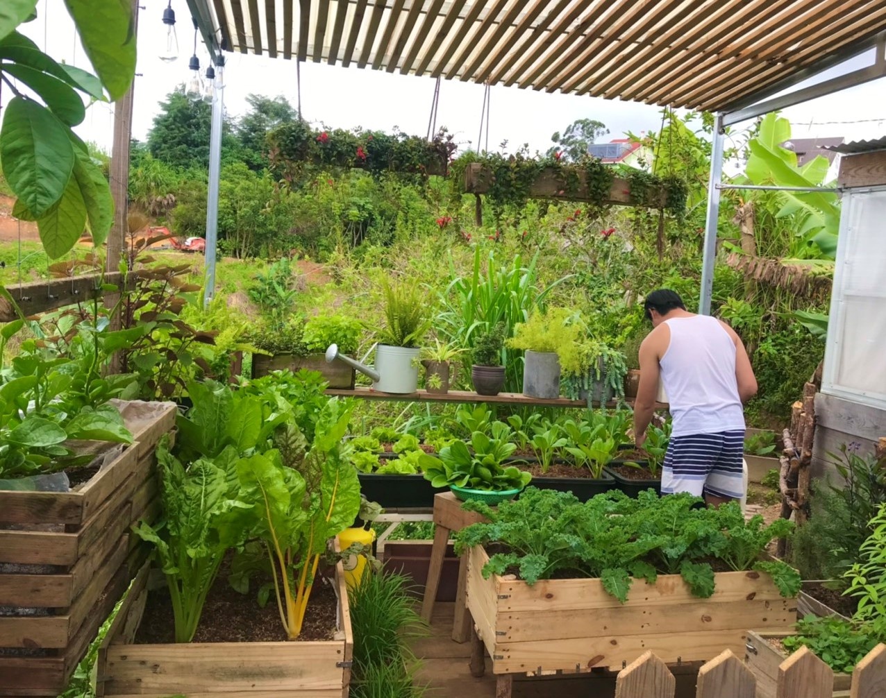 khu vườn trên mây của chàng trai Đà Lạt ảnh 6 khu vuon tren may cua chang trai Da Lat anh 6