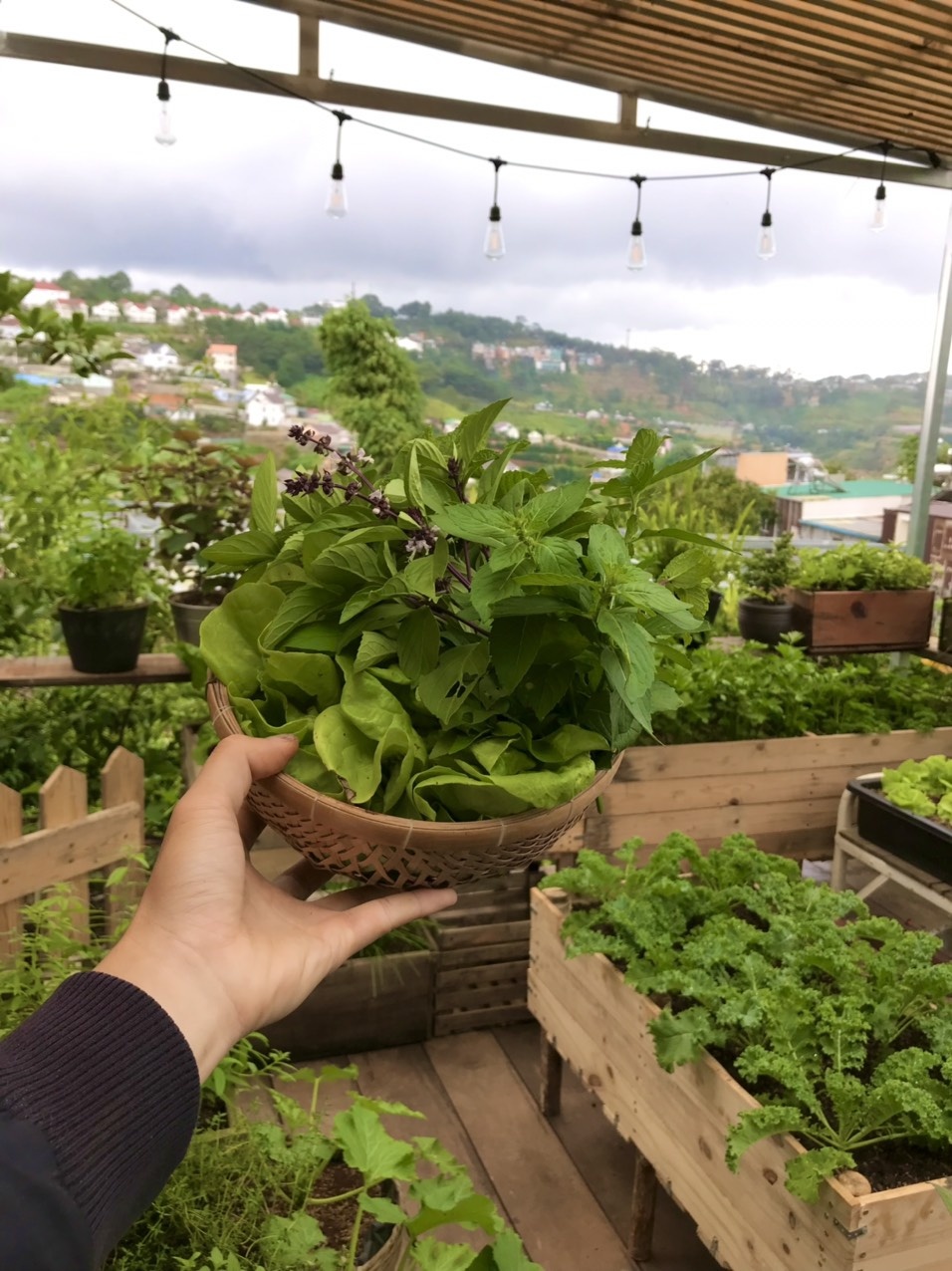 khu vườn trên mây của chàng trai Đà Lạt ảnh 4 khu vuon tren may cua chang trai Da Lat anh 4