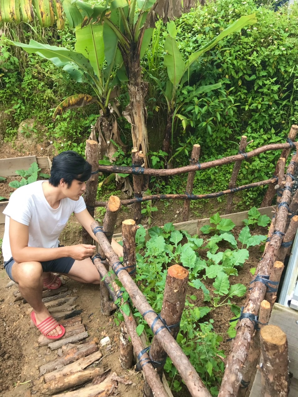 khu vườn trên mây của chàng trai Đà Lạt ảnh 2 khu vuon tren may cua chang trai Da Lat anh 2