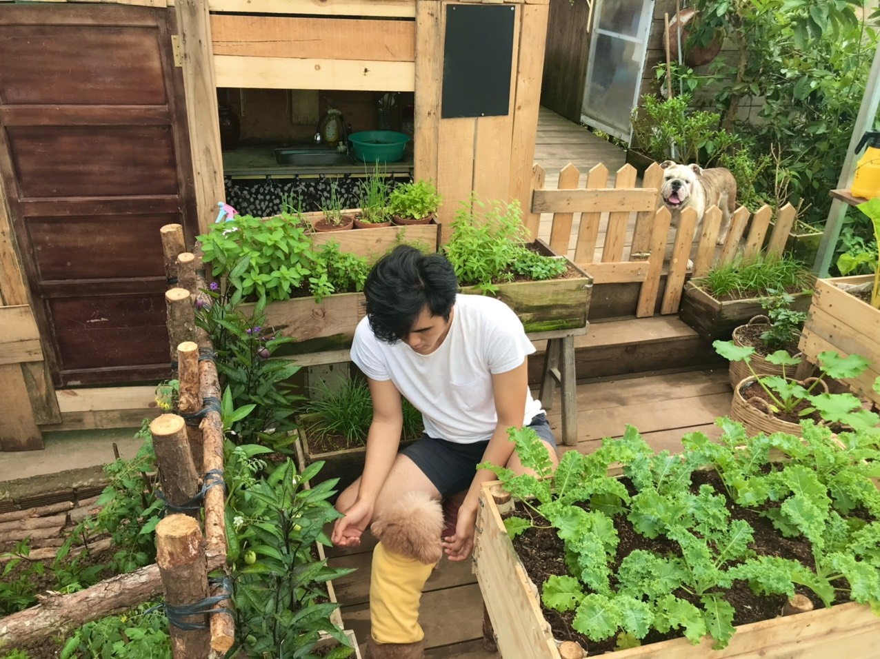 khu vuon tren may cua chang trai Da Lat anh 7