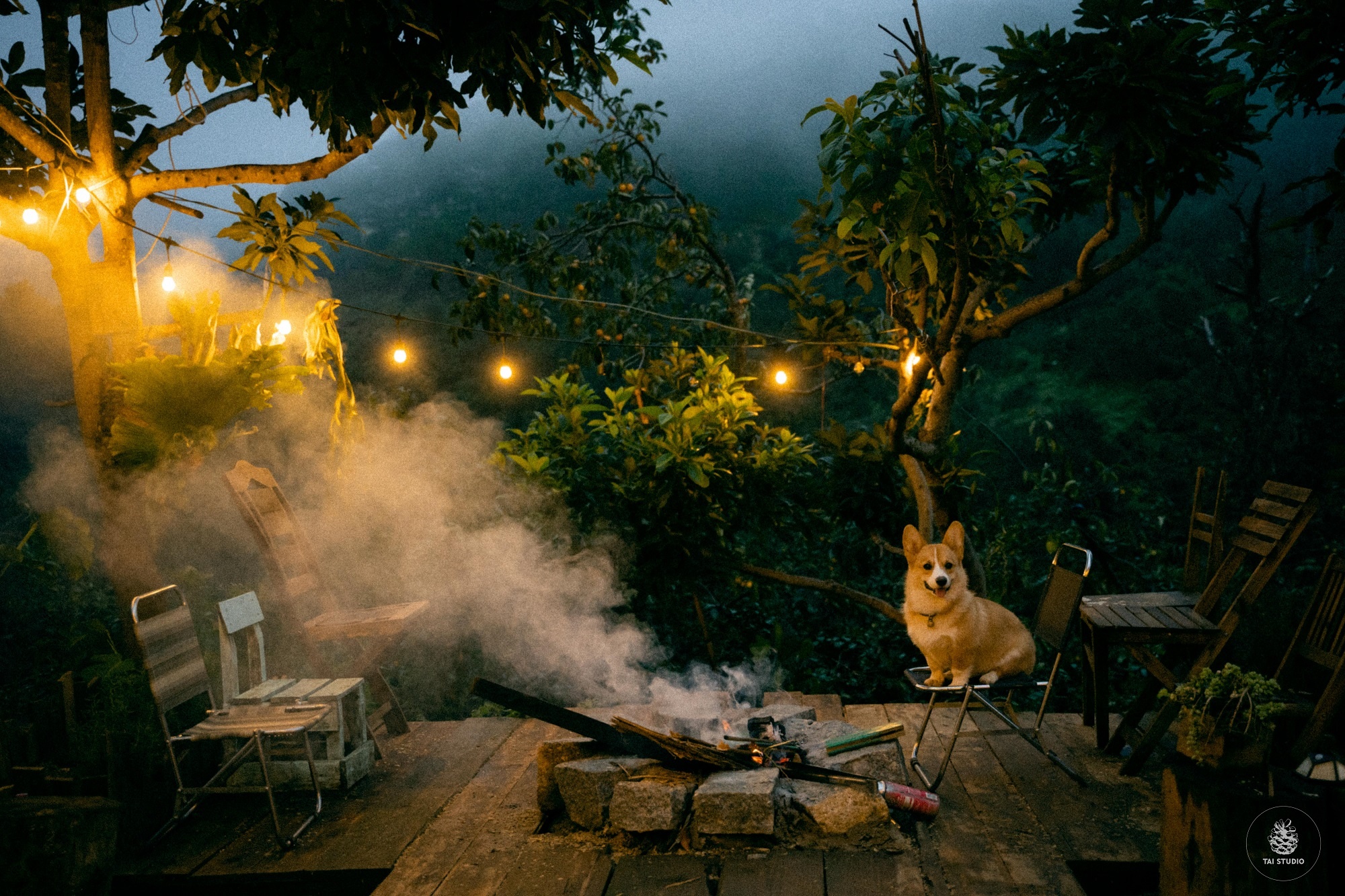 bỏ Canada về Đà Lạt ảnh 6 bo Canada ve Da Lat anh 6