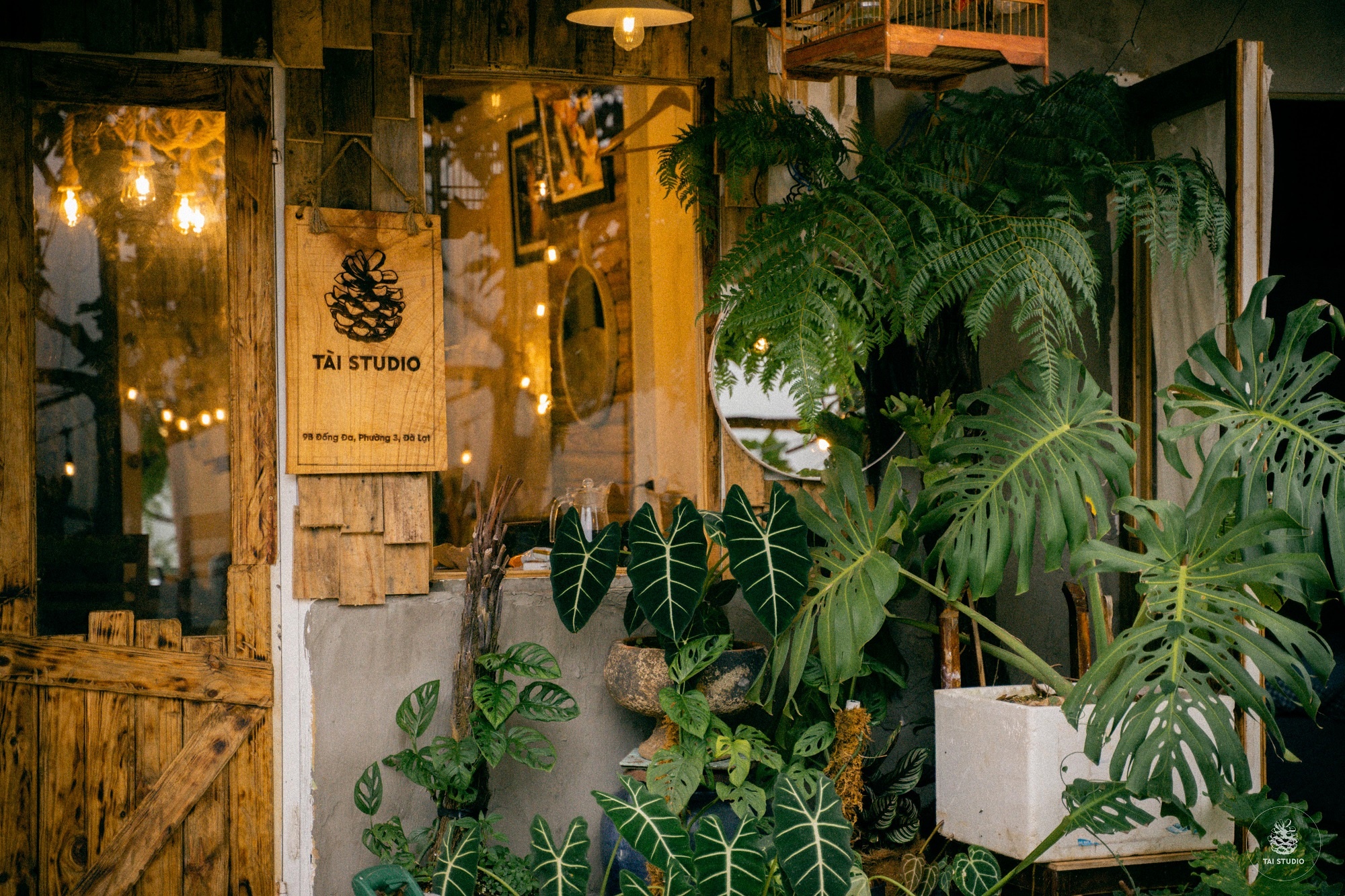 bỏ Canada về Đà Lạt ảnh 7 bo Canada ve Da Lat anh 7