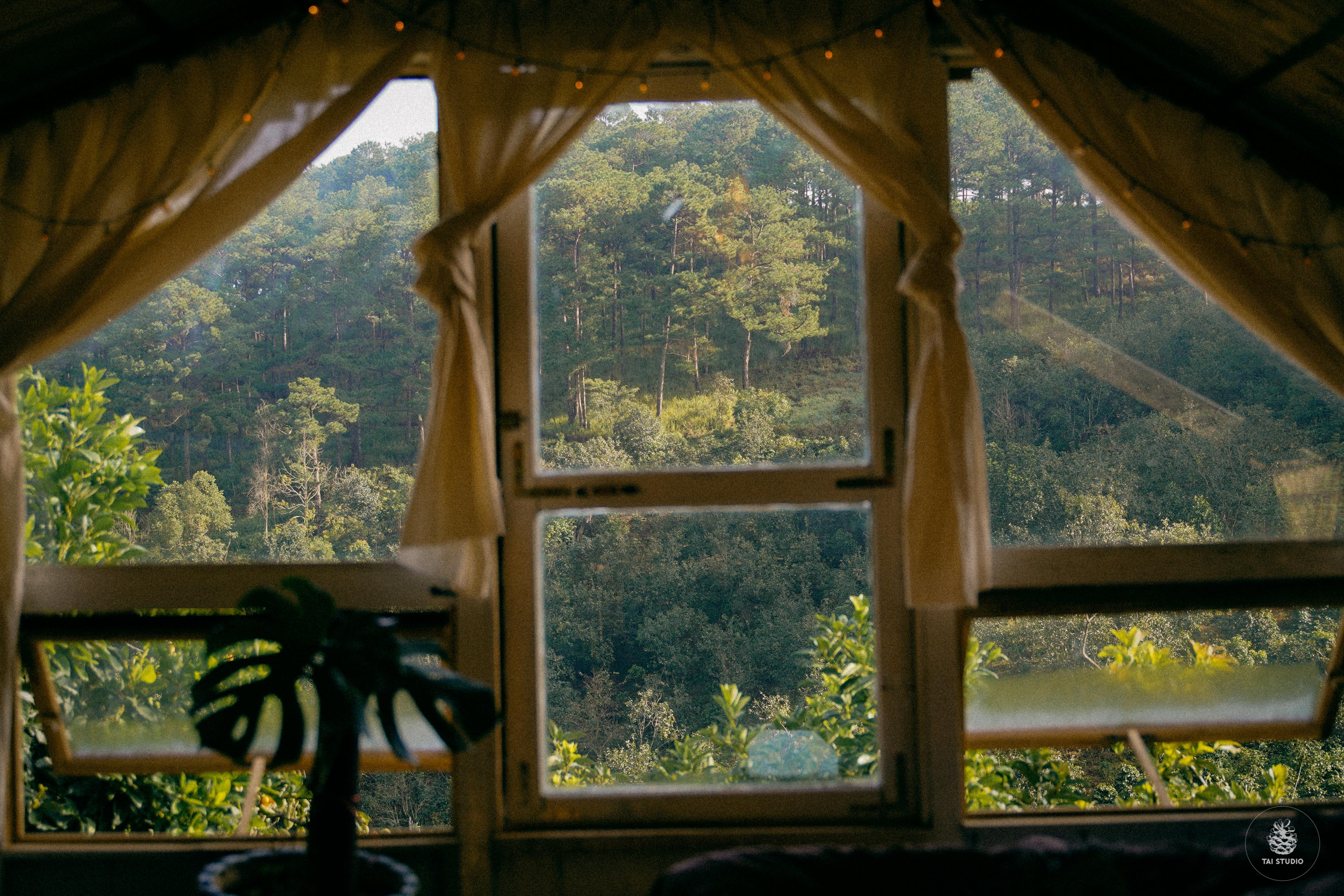 bỏ Canada về Đà Lạt ảnh 3 bo Canada ve Da Lat anh 3