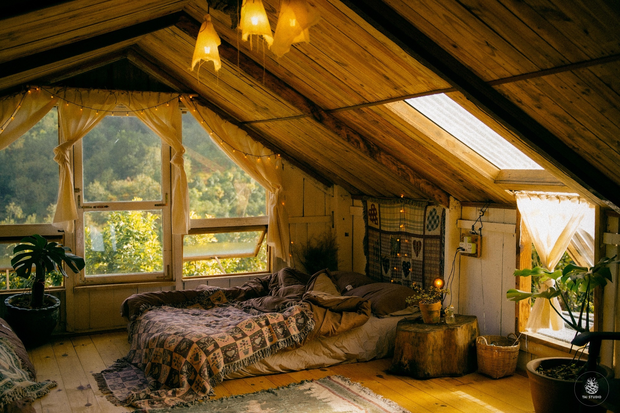 bỏ Canada về Đà Lạt ảnh 5 bo Canada ve Da Lat anh 5