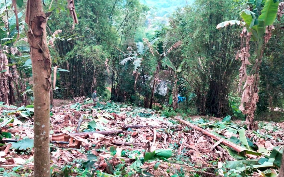 bo pho ve que mo homestay anh 1