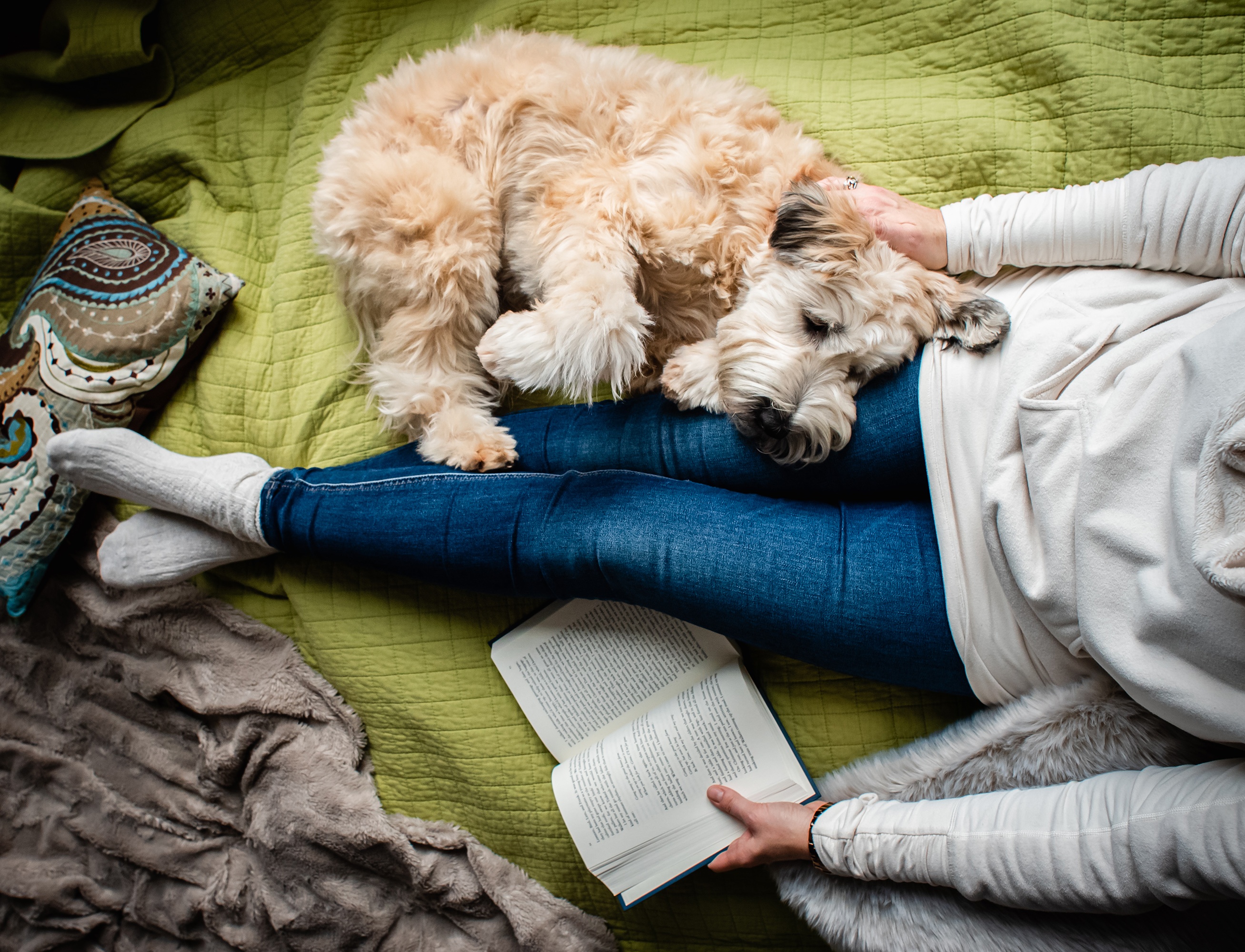 trieu phu thoi gian trong dai dich anh 1