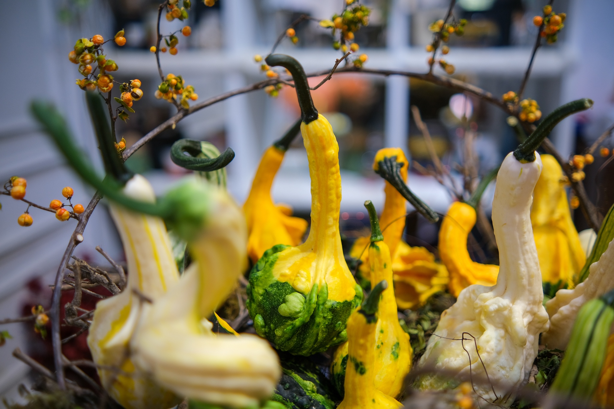 bi ngo khong lo trang tri Halloween anh 5