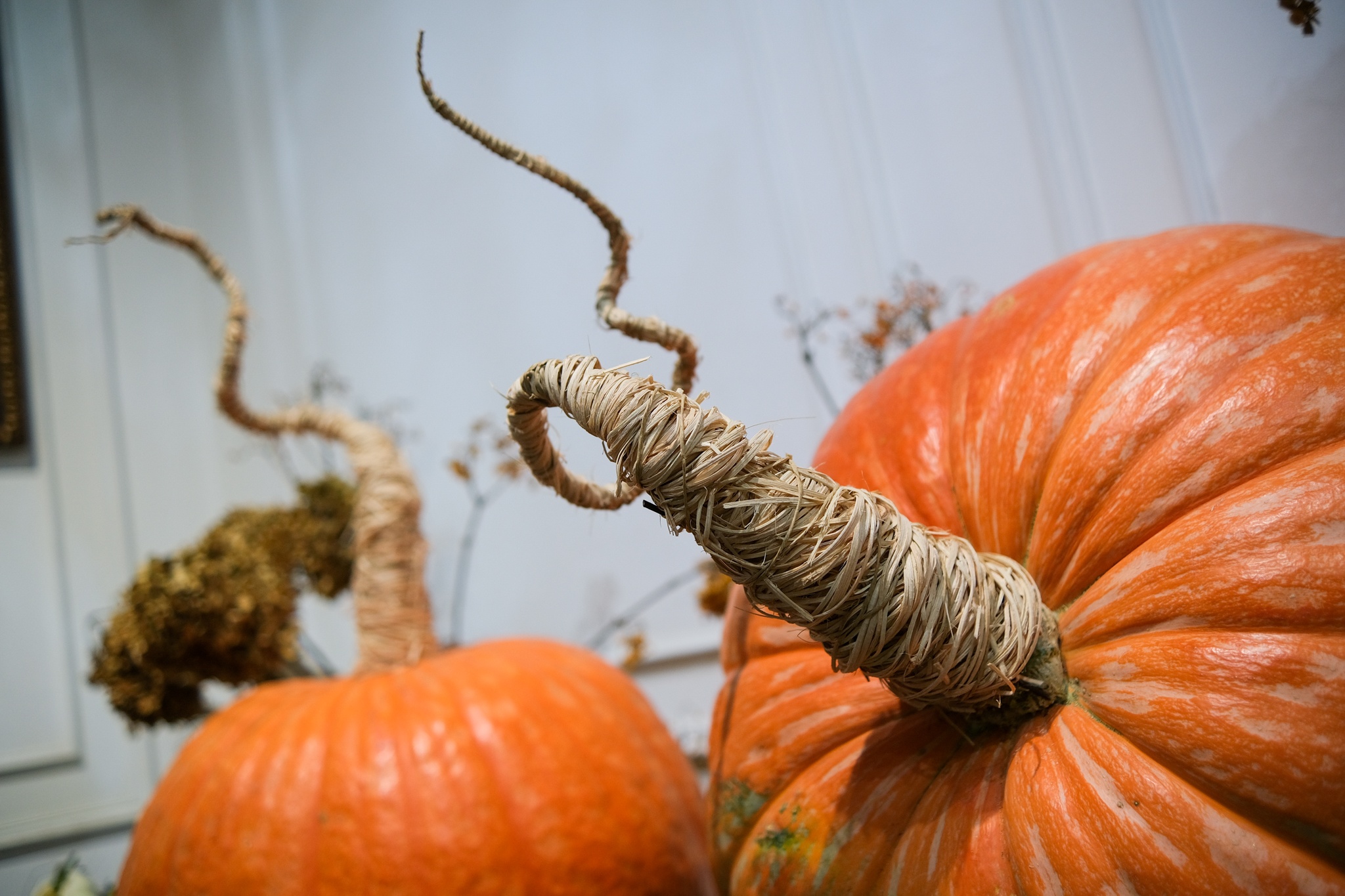 bi ngo khong lo trang tri Halloween anh 3