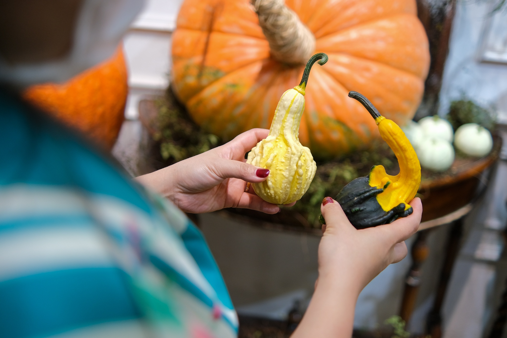 bi ngo khong lo trang tri Halloween anh 9