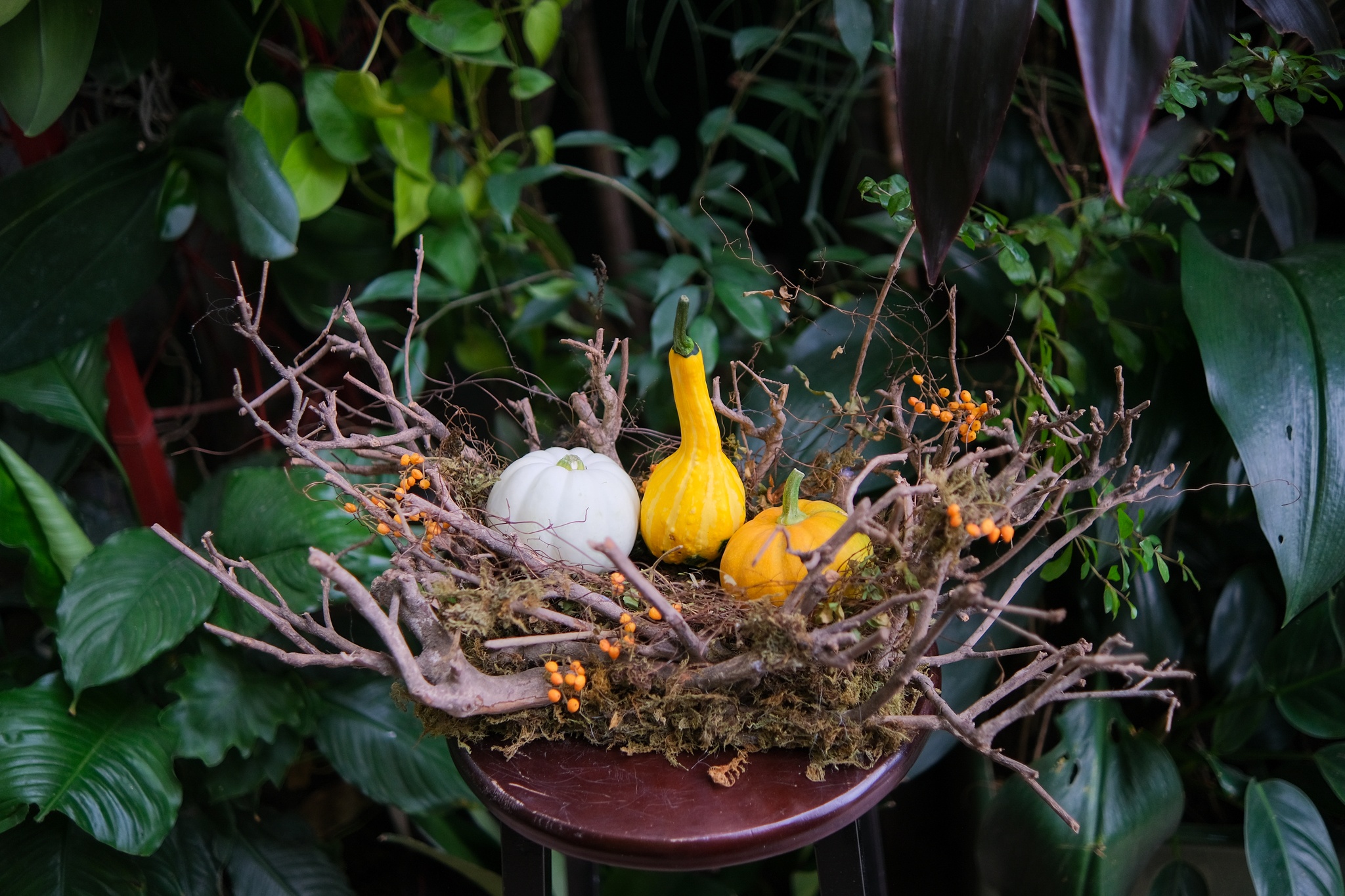 bi ngo khong lo trang tri Halloween anh 7