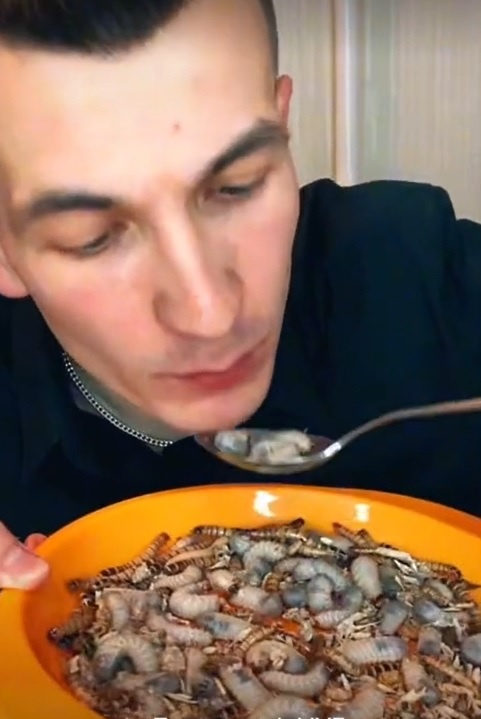 trào lưu ăn côn trùng trên tiktok ảnh 2 trao luu an con trung tren tiktok anh 2