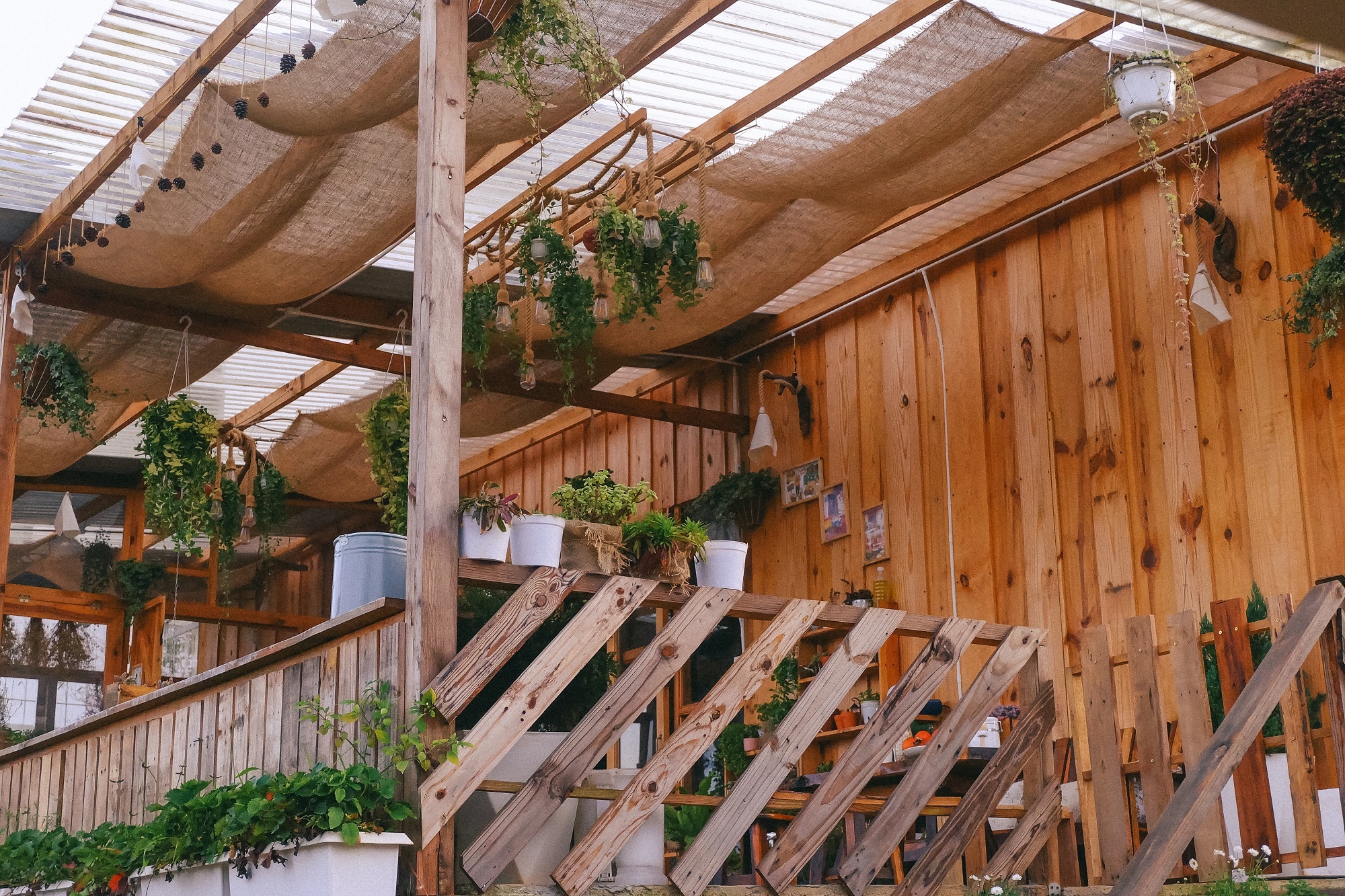 bỏ TP.HCM về Đà Lạt ảnh 6 bo TP.HCM ve Da Lat anh 6