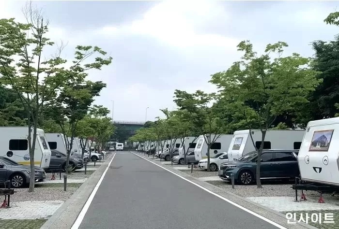 quy dinh cam nguoi gia tre em anh 1