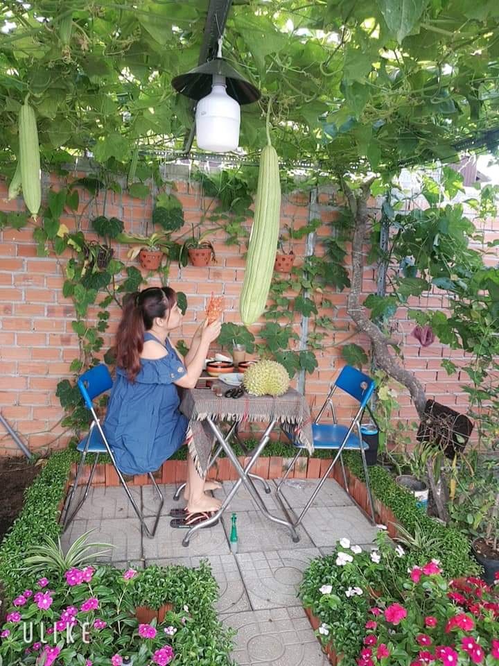 tu trong rau o nha anh 1