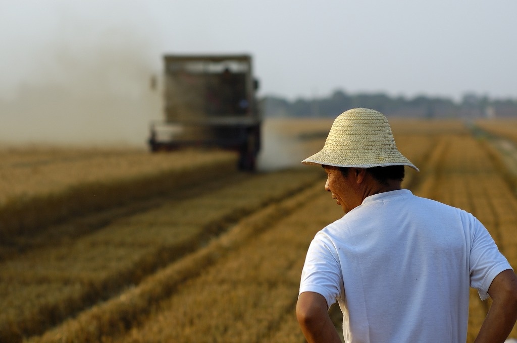 nguoi Han Quoc bo pho ve que anh 1