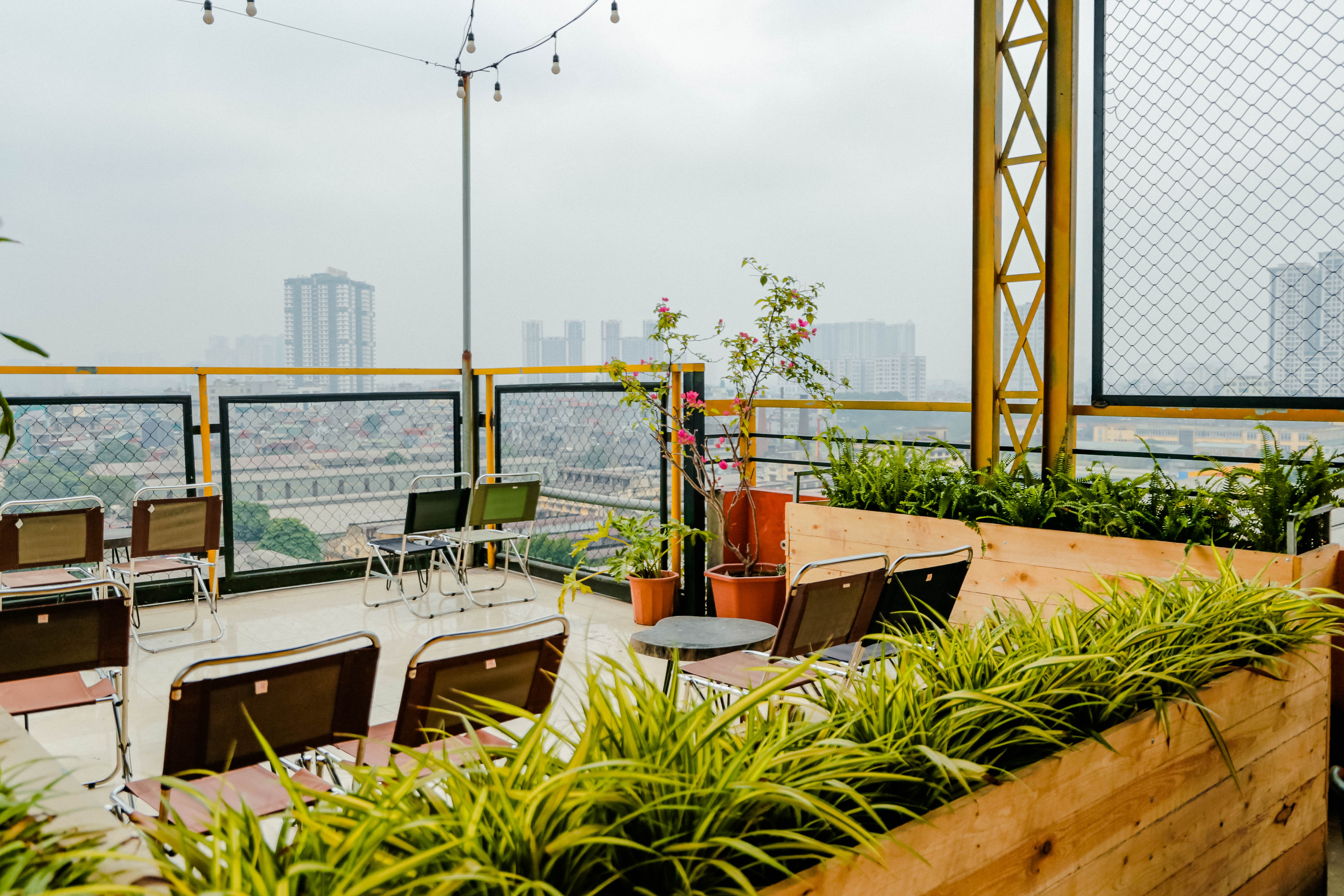 quan ca phe nhu studio anh 24