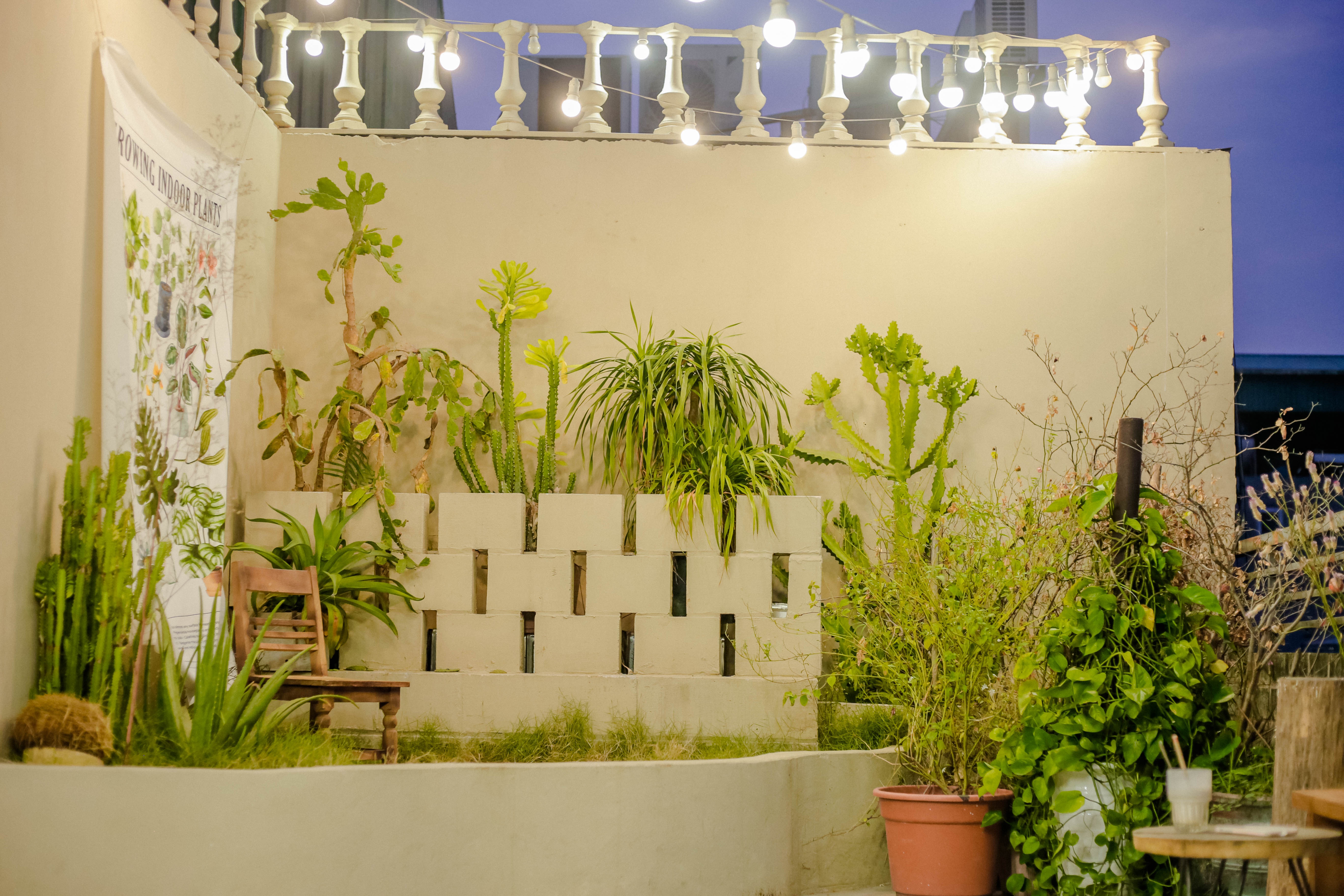 quan ca phe nhu studio anh 3