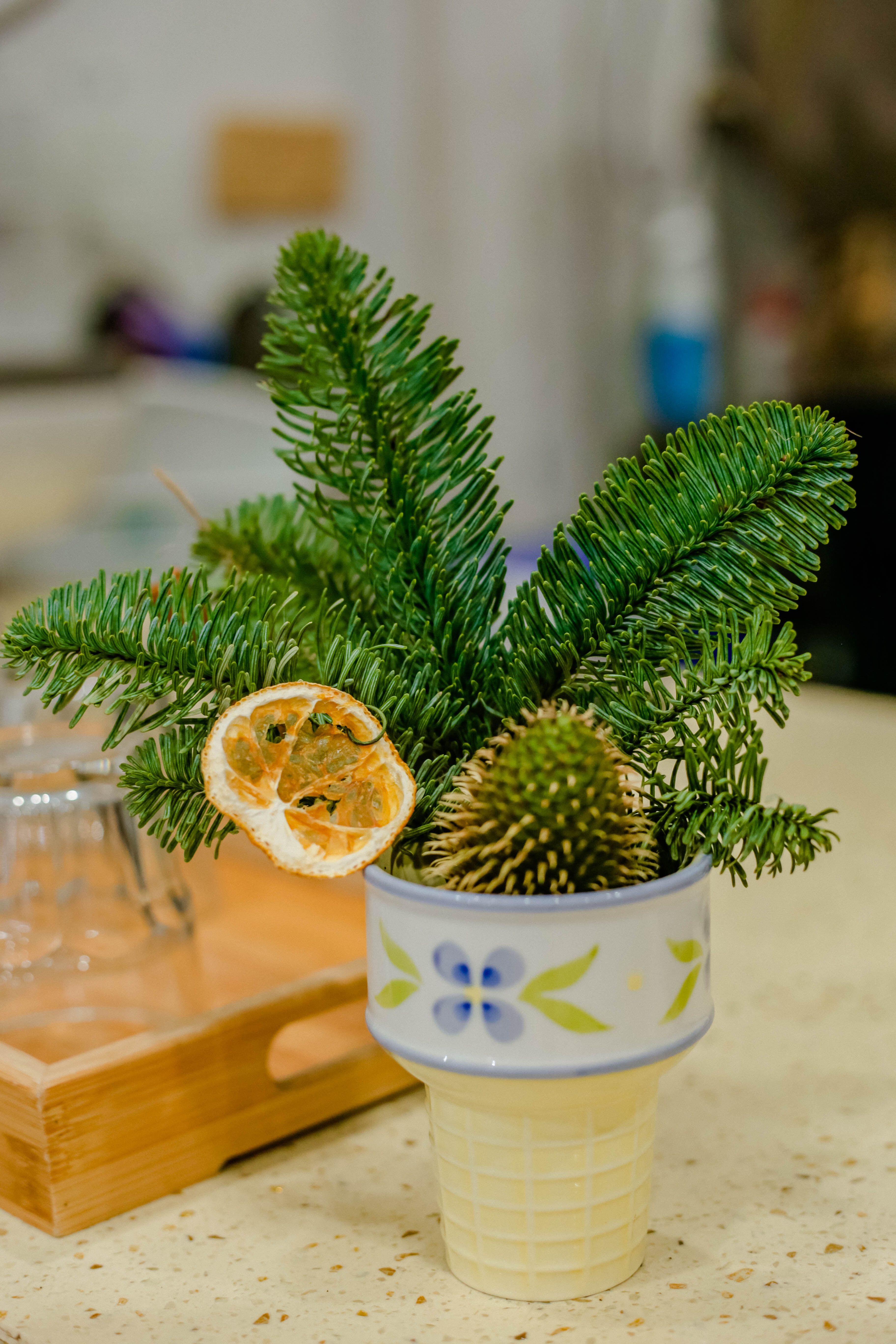 quan ca phe nhu studio anh 16