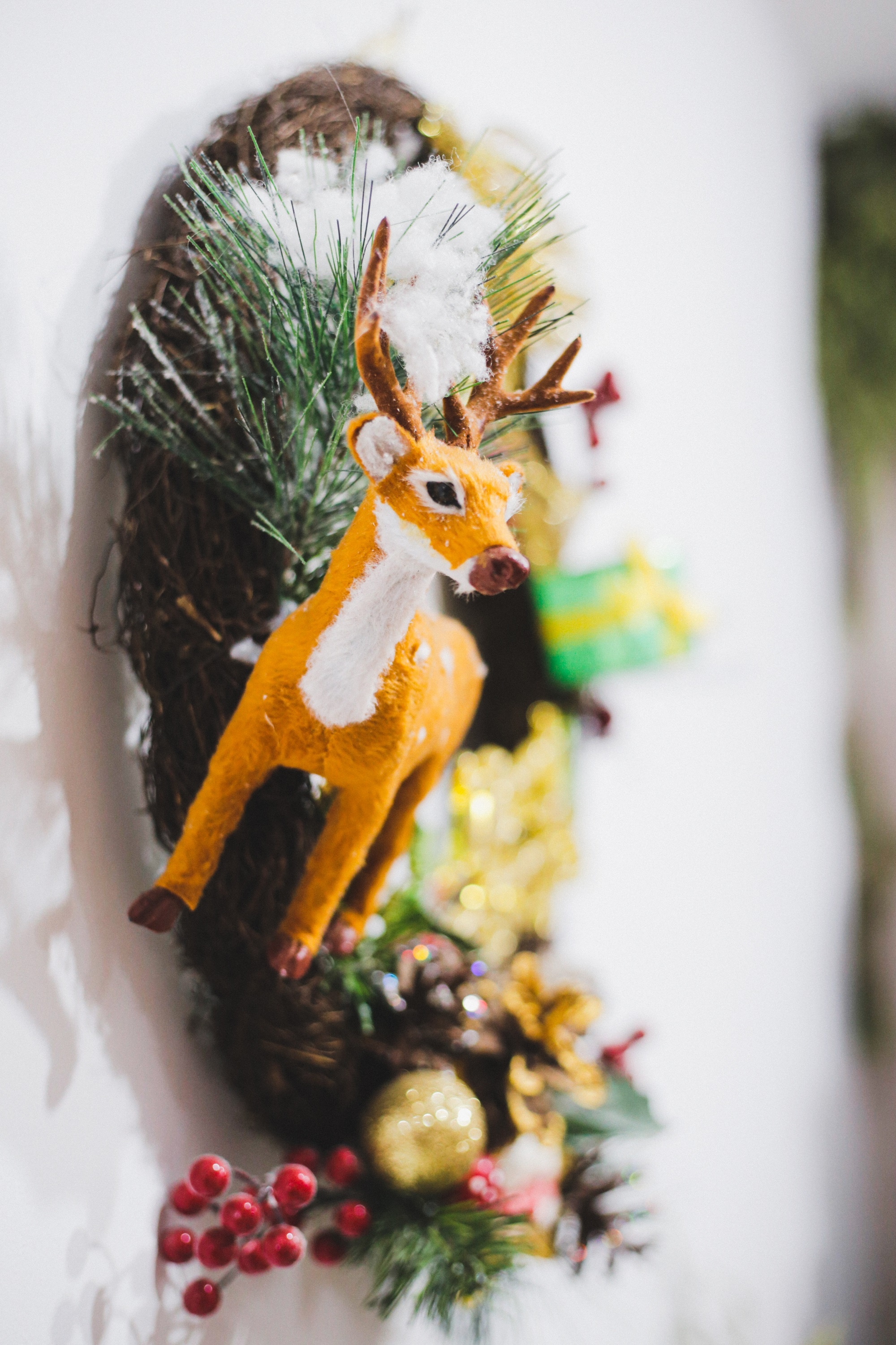 quan ca phe nhu studio anh 43