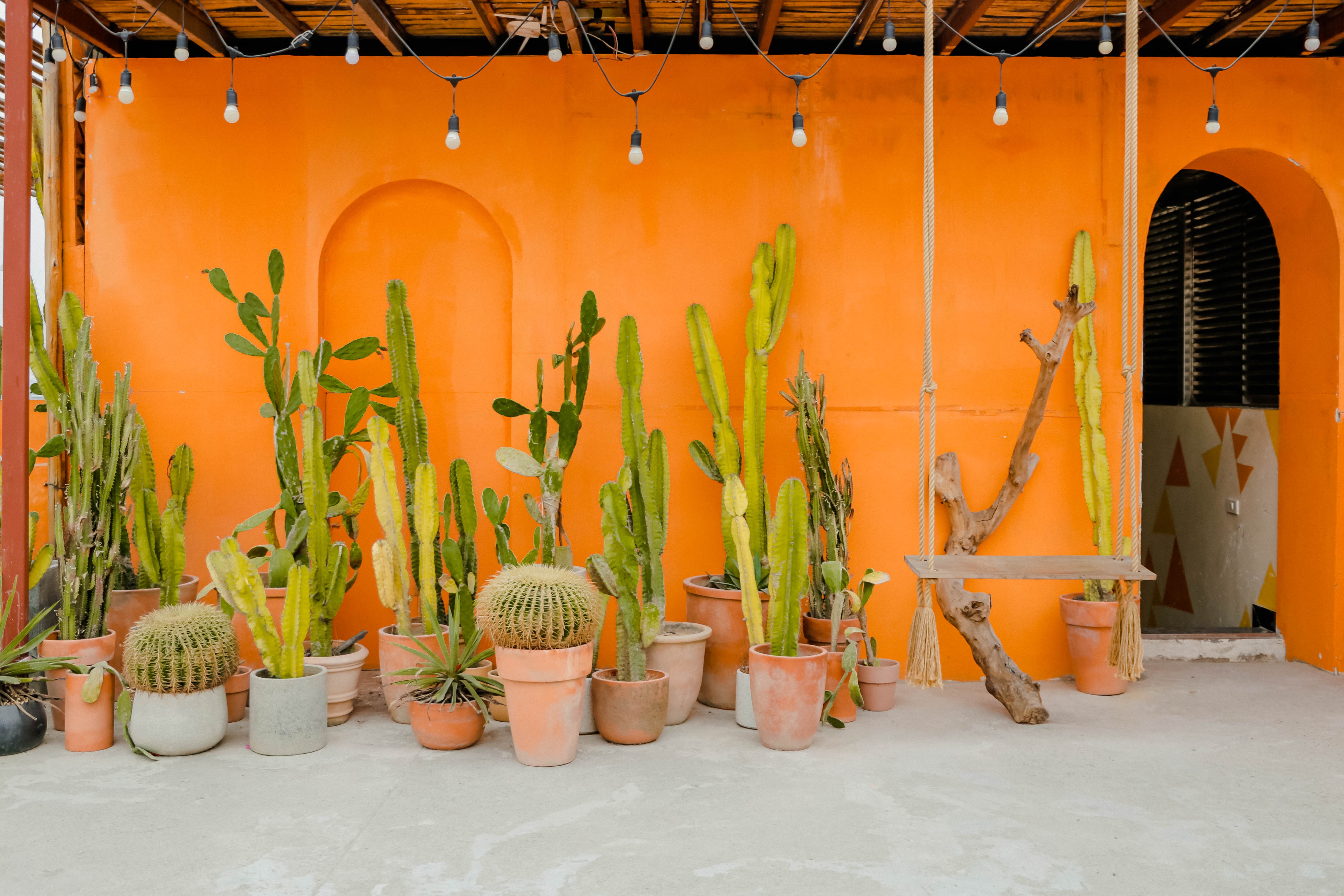 quan ca phe nhu studio anh 34