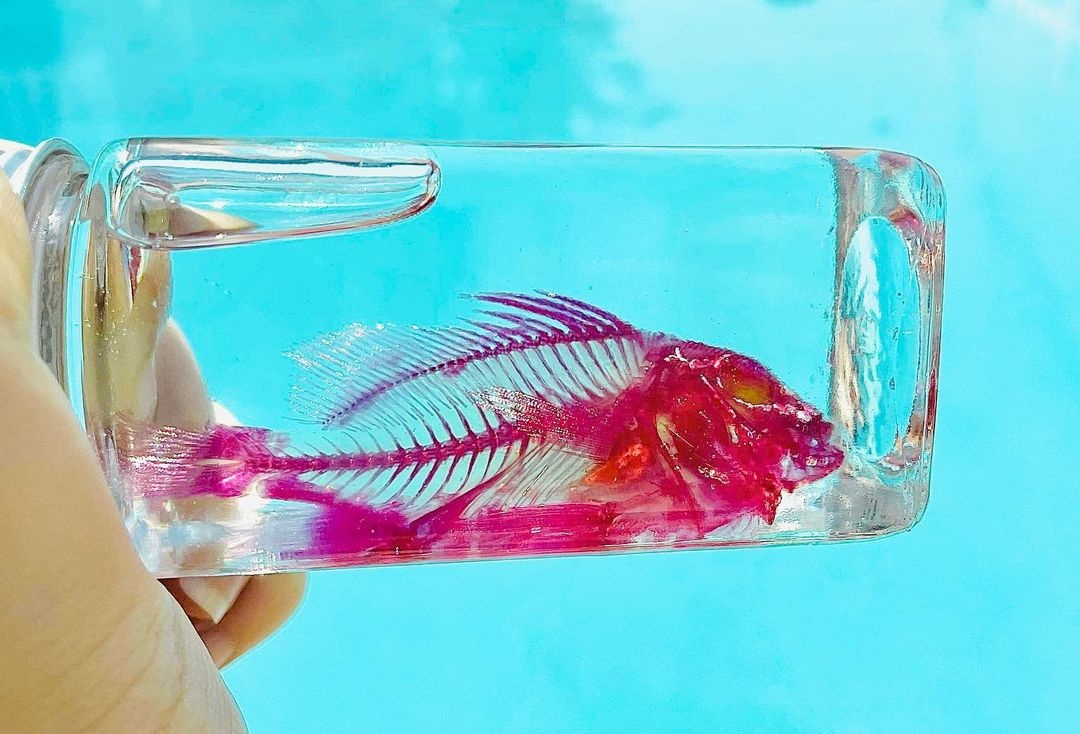 co gai lam tieu ban nhuom xuong anh 1