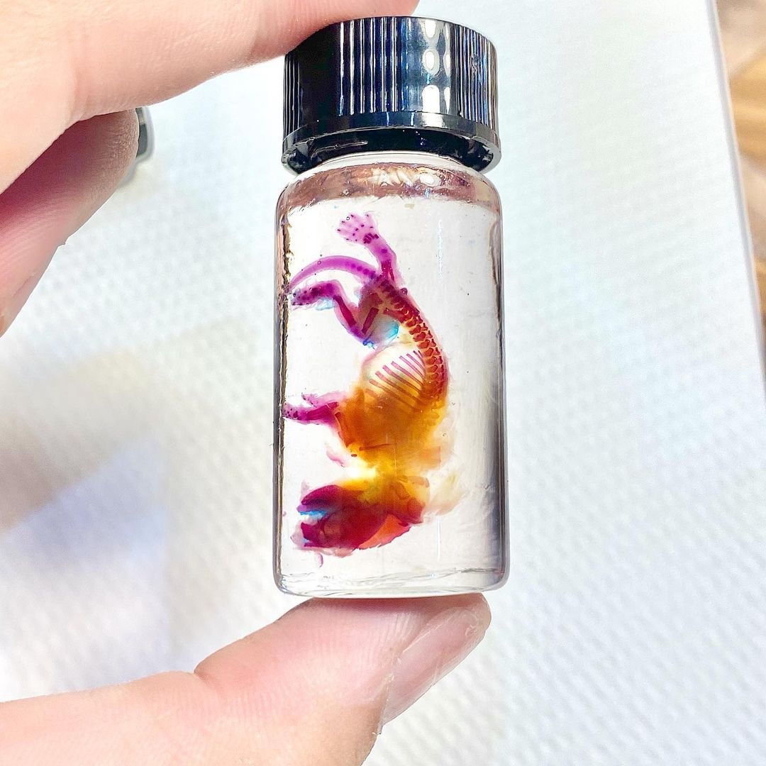 co gai lam tieu ban nhuom xuong anh 4