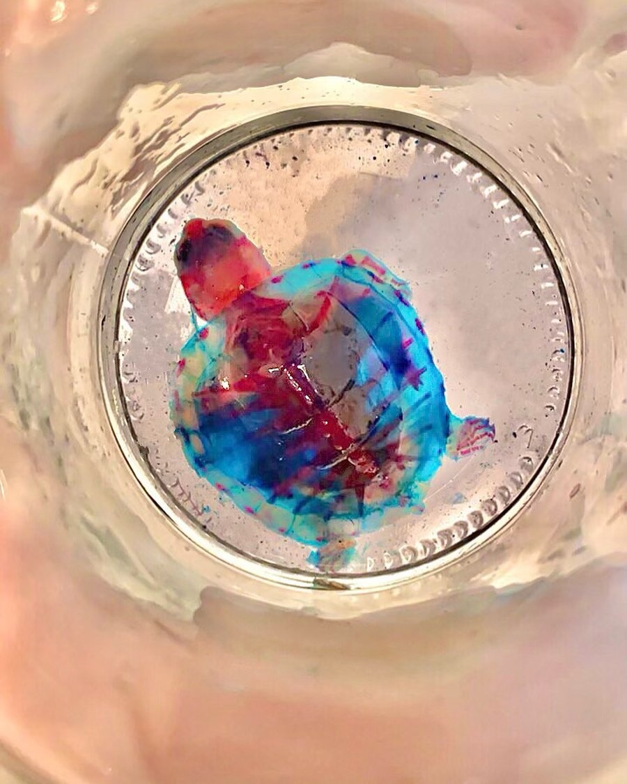 co gai lam tieu ban nhuom xuong anh 10