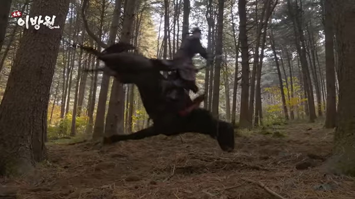 thue thu cung theo ngay anh 2