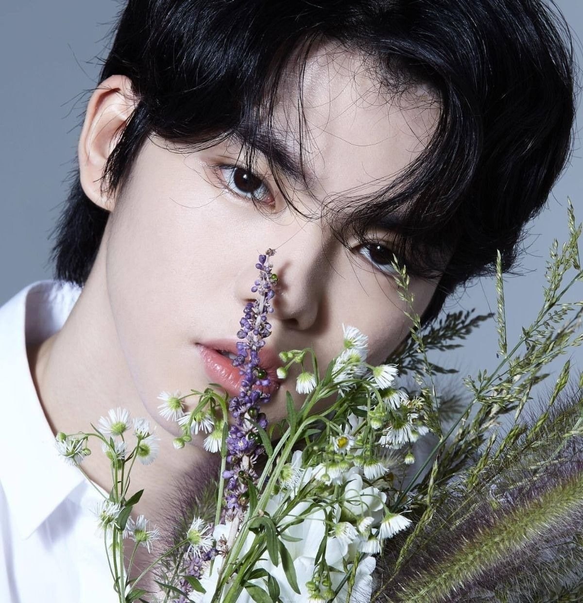 hoang tu san bang Han Quoc anh 4