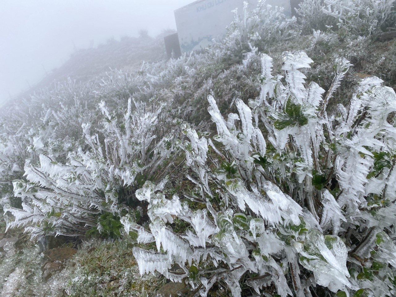 chụp ảnh với băng giá ảnh 3 chup anh voi bang gia anh 3