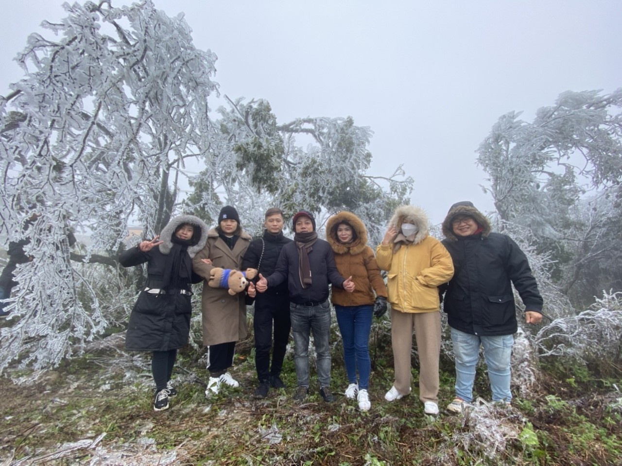 chup anh voi bang gia anh 1