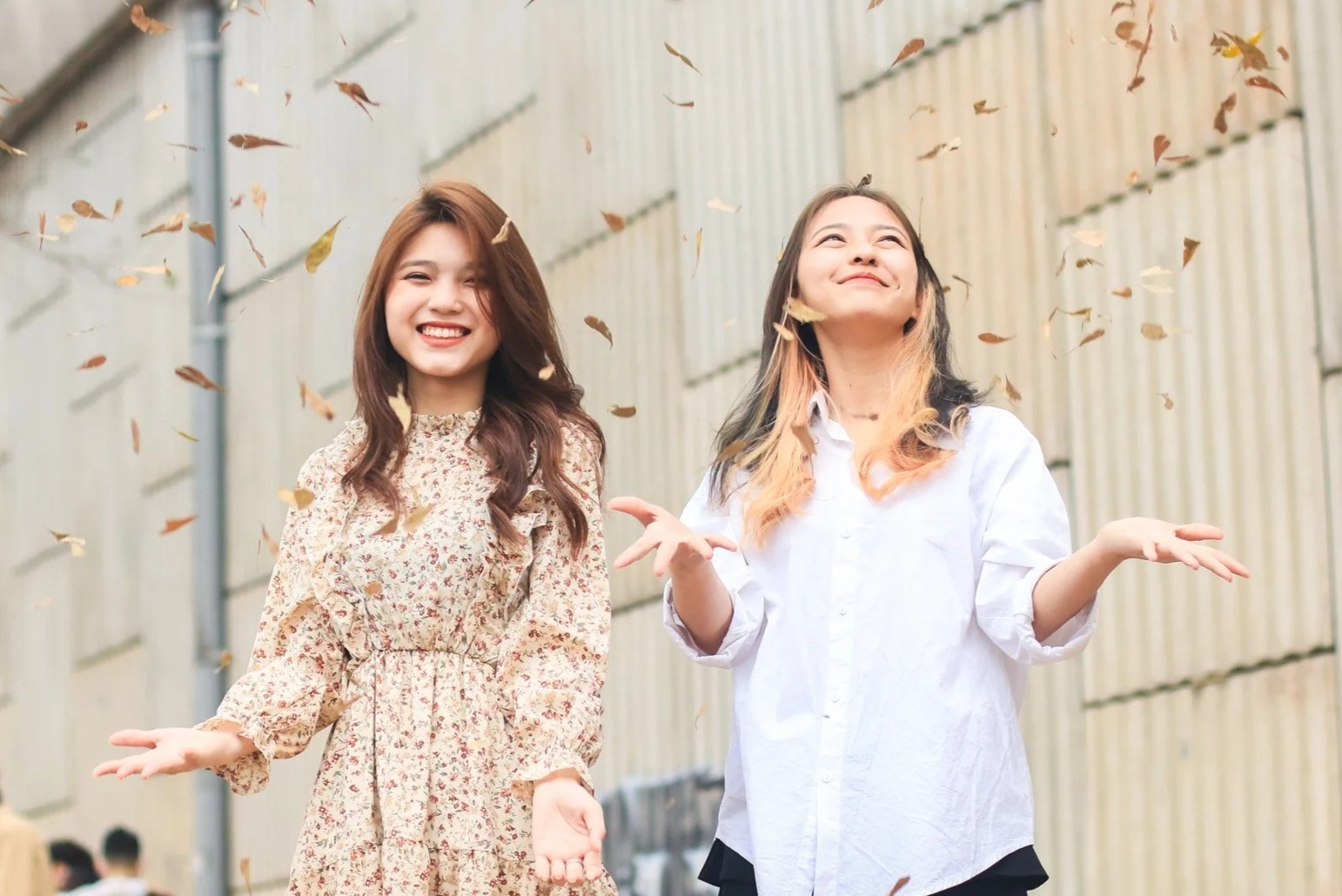 Gioi tre tap nap check-in voi hang cay la vang ben song To Lich hinh anh