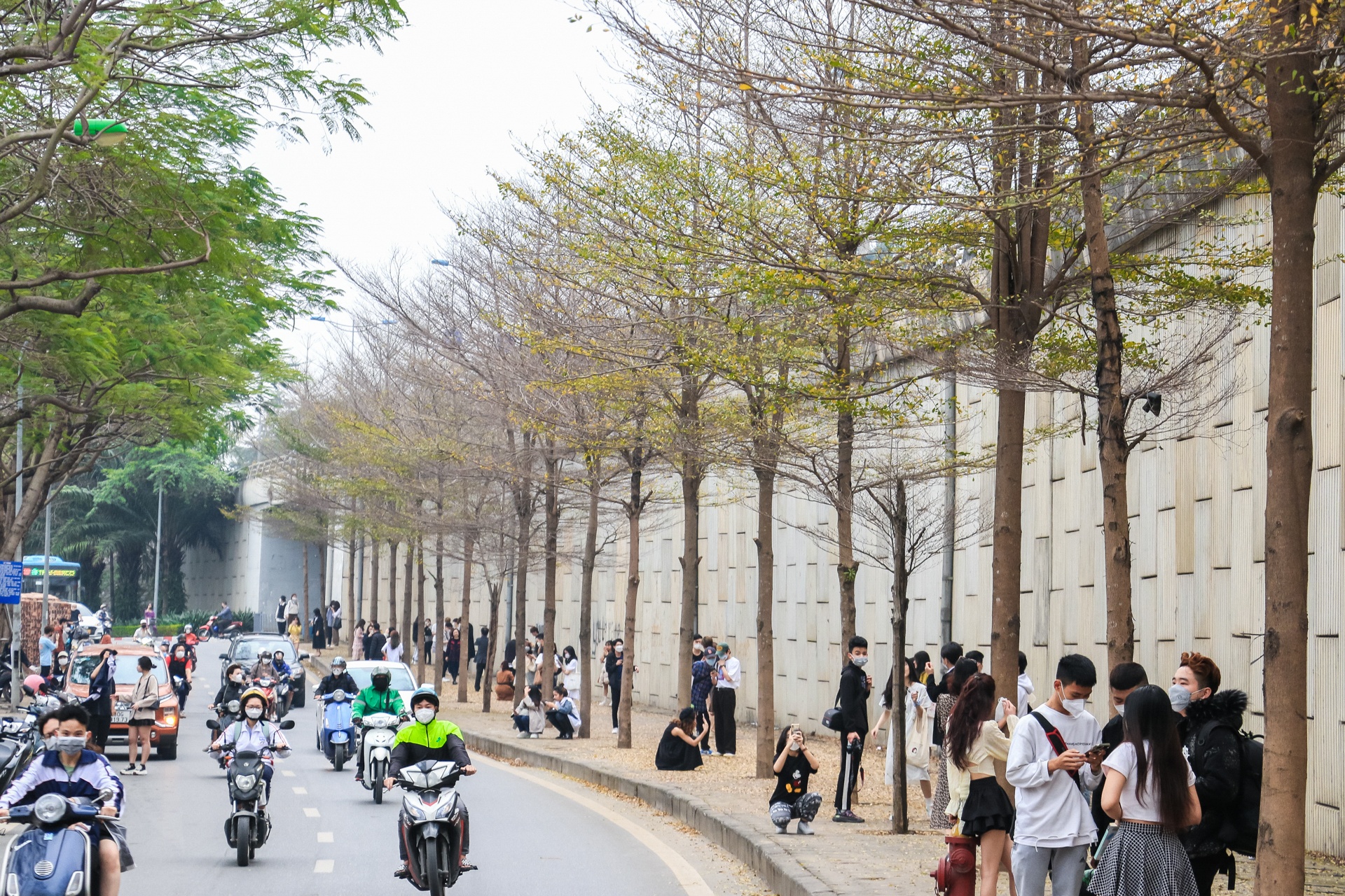 chụp ảnh check in với bàng lá nhỏ ảnh 1 chup anh check in voi bang la nho anh 1