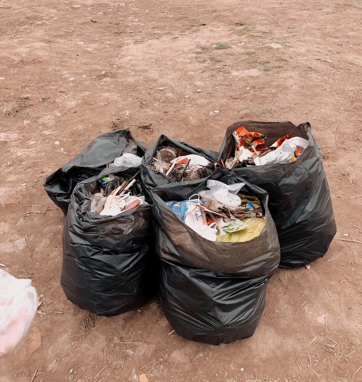 dọn rác ở cây cô đơn hồ Tây ảnh 1 don rac o cay co don ho Tay anh 1