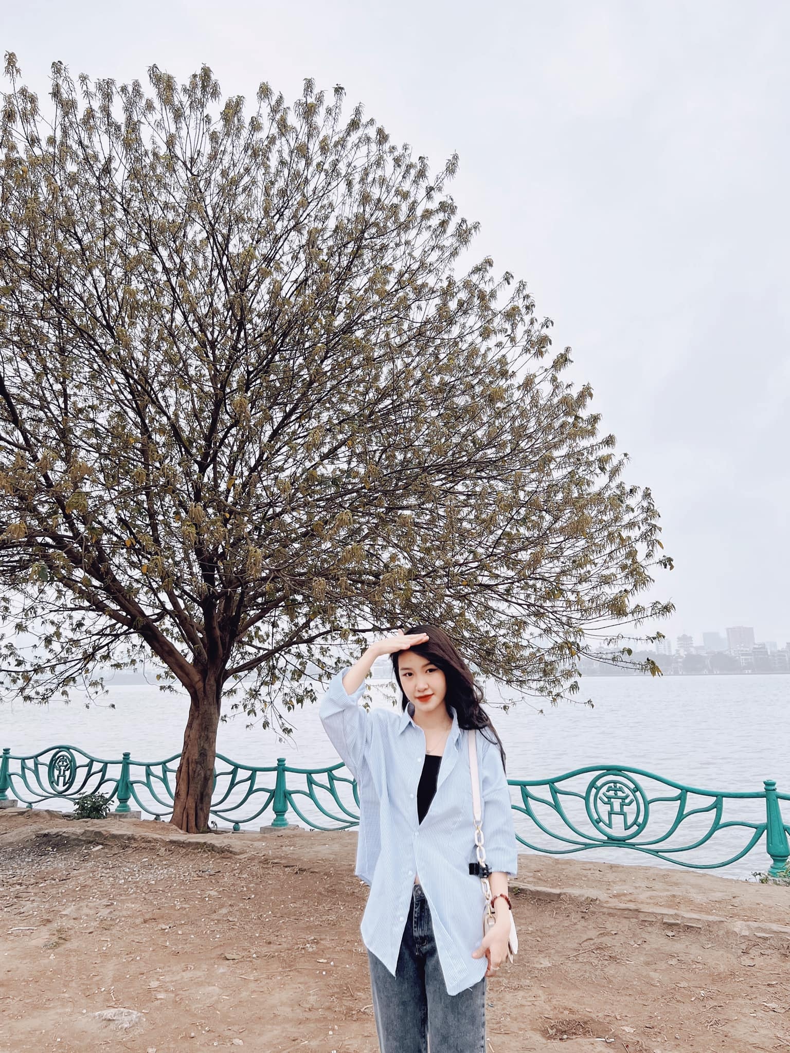 don rac o cay co don ho Tay anh 3