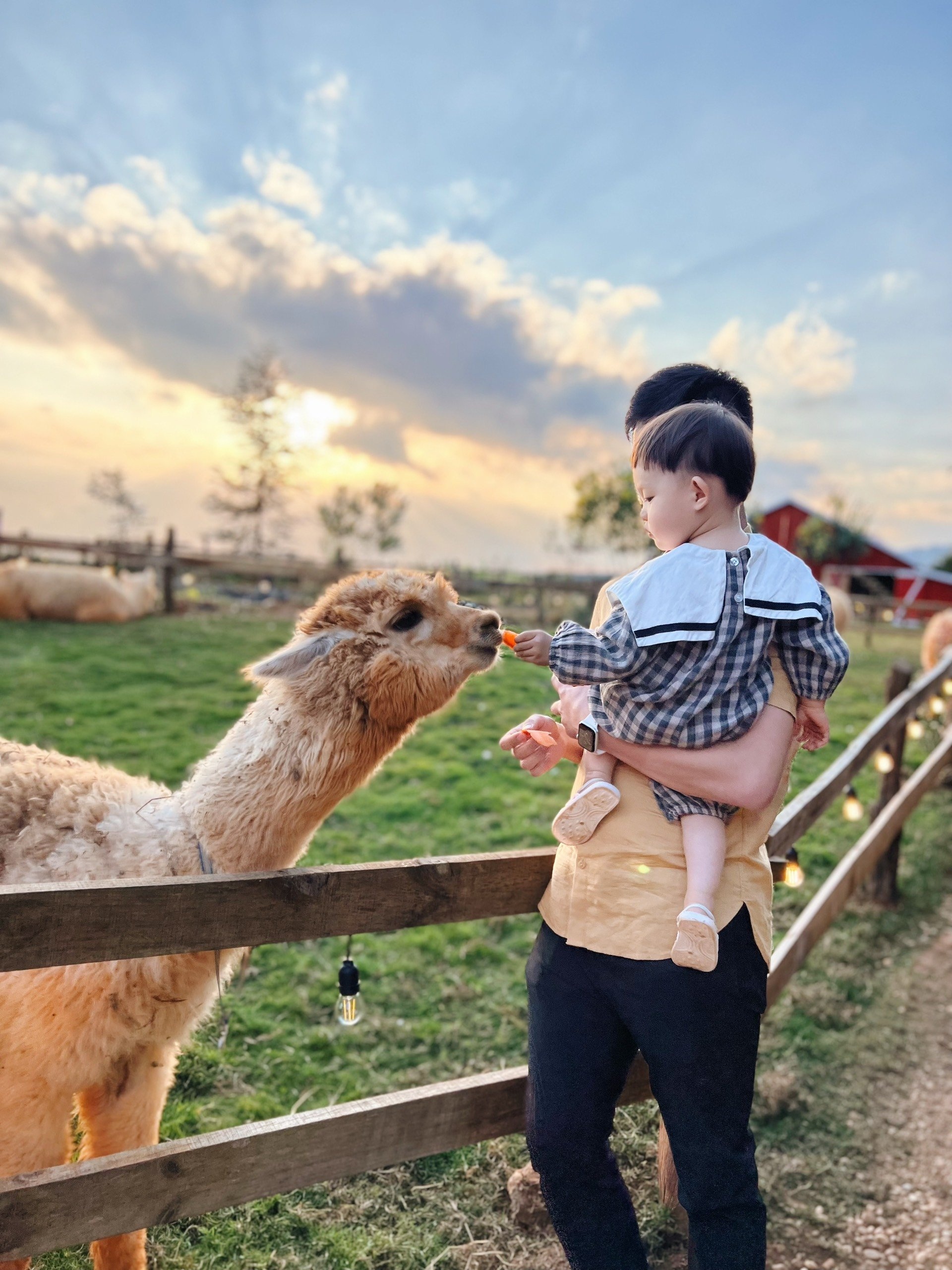 du lich voi con nho anh 4