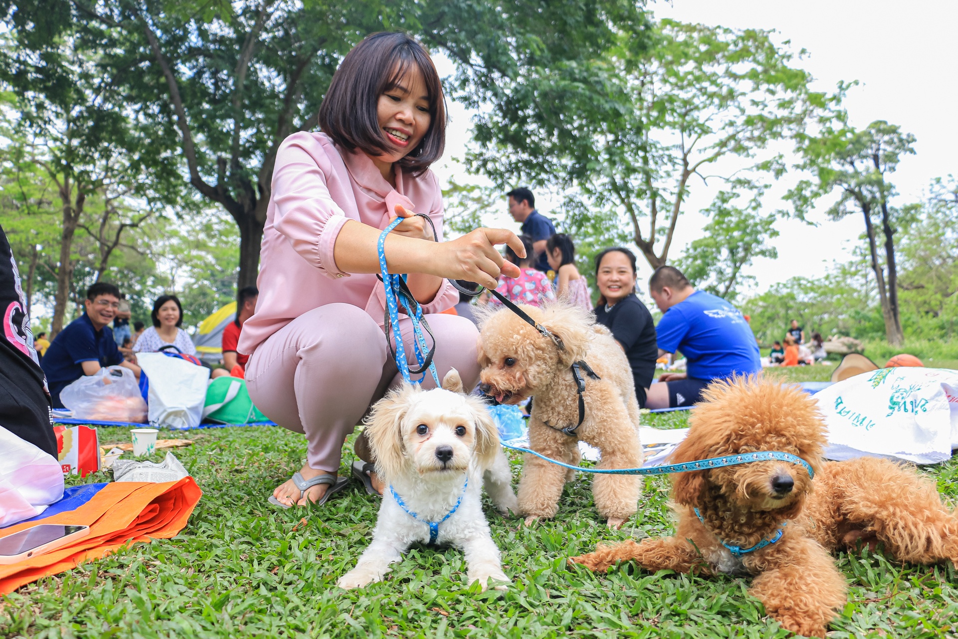 vui choi o cong vien anh 7