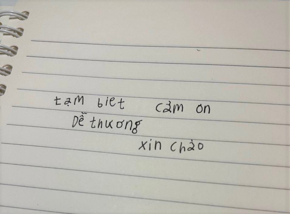 cô gái Hàn Quốc học tiếng Việt ảnh 2 co gai Han Quoc hoc tieng Viet anh 2