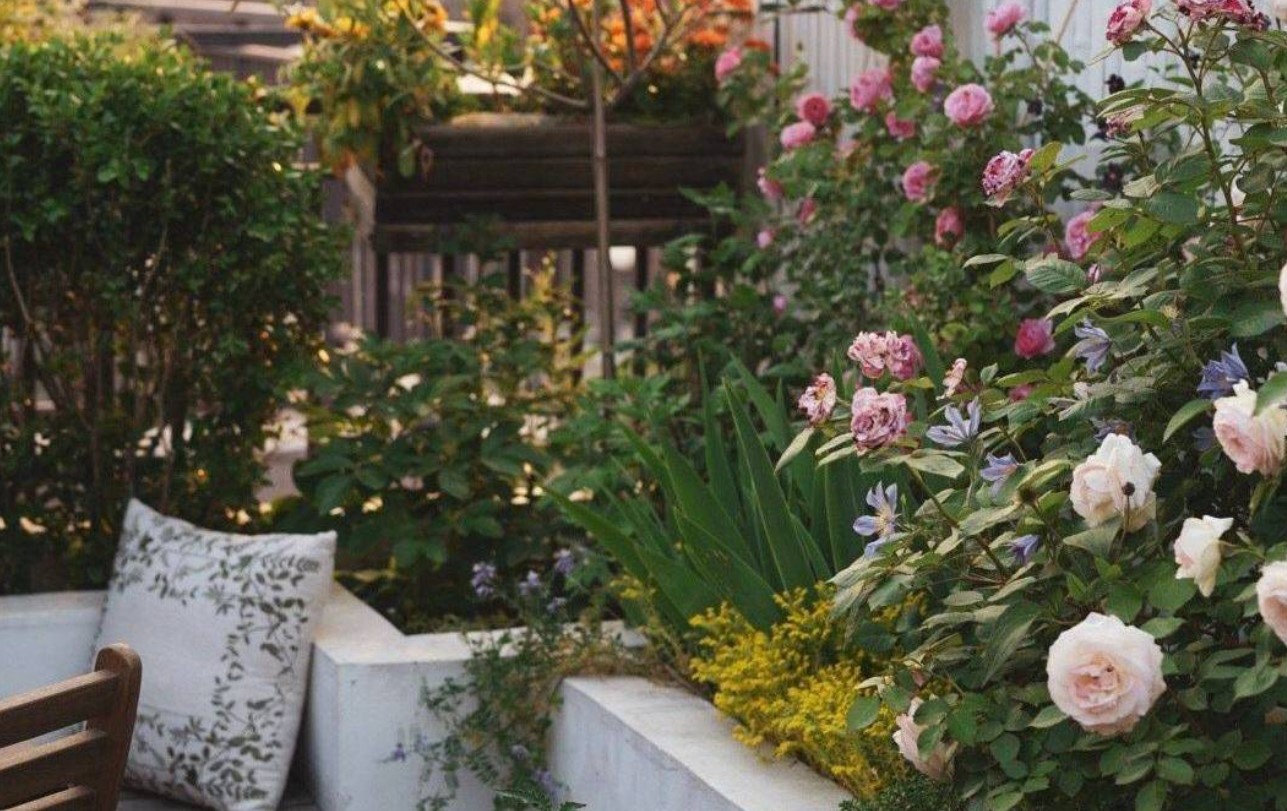 Chi rong 30 m2, vuon san thuong co den 400 loai thuc vat o Trung Quoc hinh anh