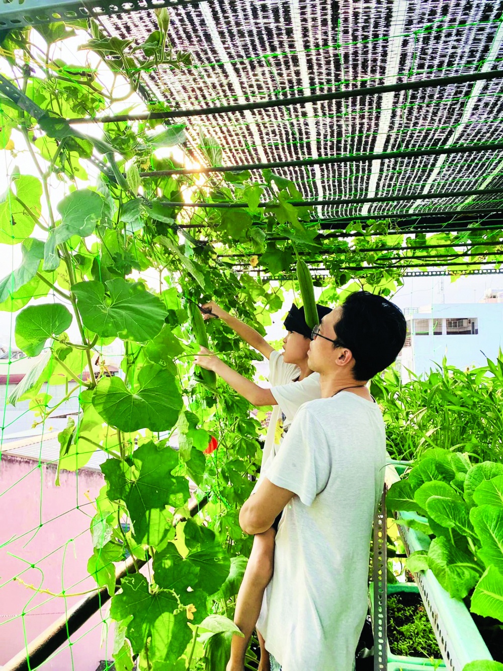 Chong tang vo vuon san thuong anh 2