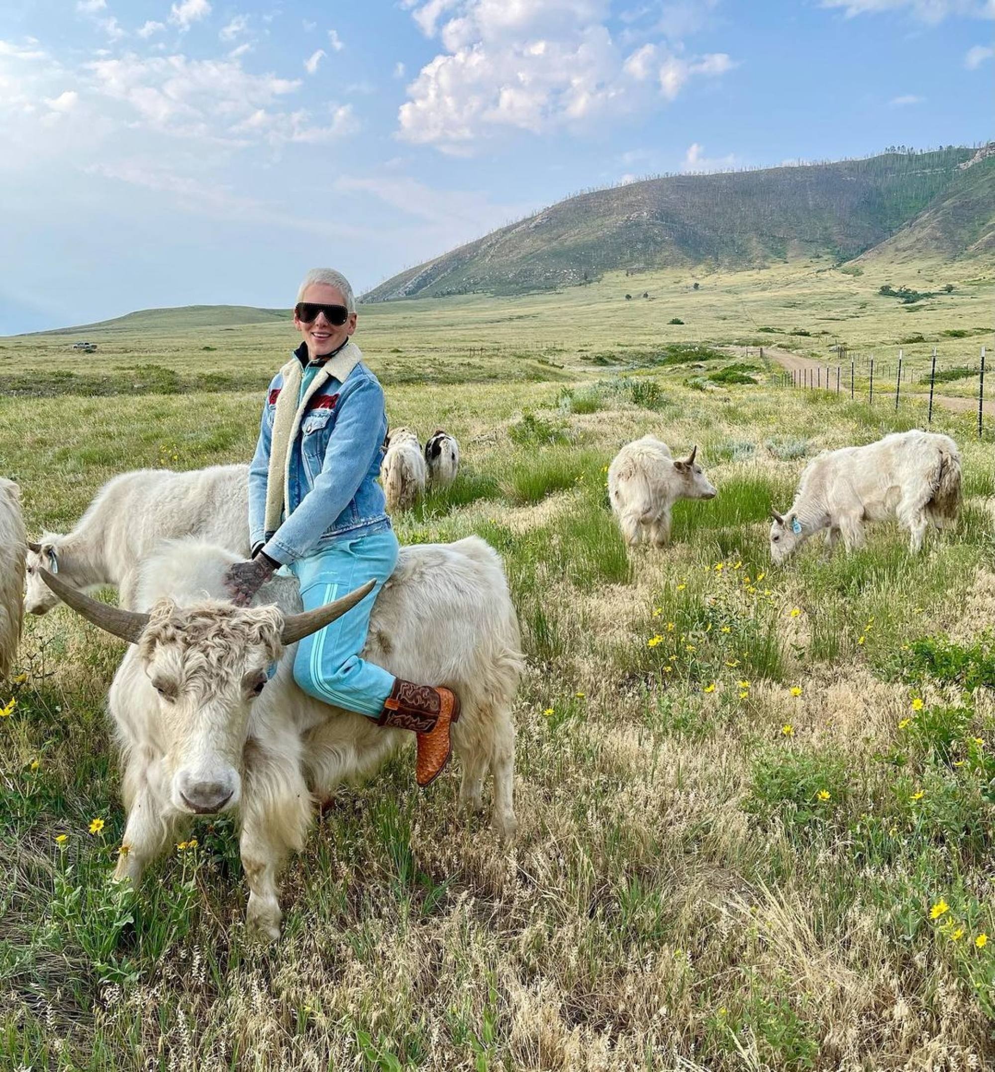 ong trum trang diem giau co anh 5