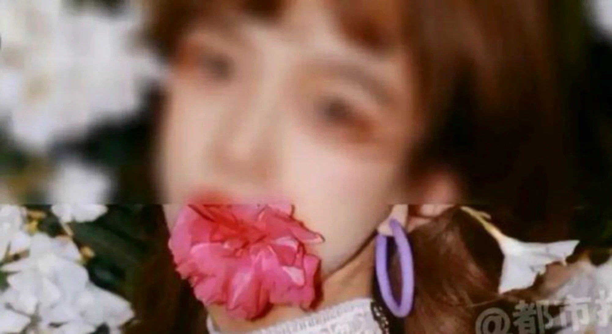 chup anh voi hoa truc dao anh 1