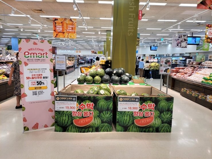 dua hau Han Quoc dat do anh 1