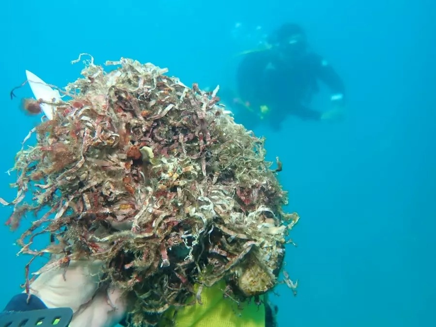 nhat rac o Nha Trang anh 2