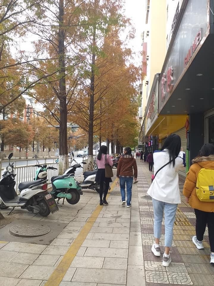 du học online vì dịch ảnh 6 du hoc online vi dich anh 6