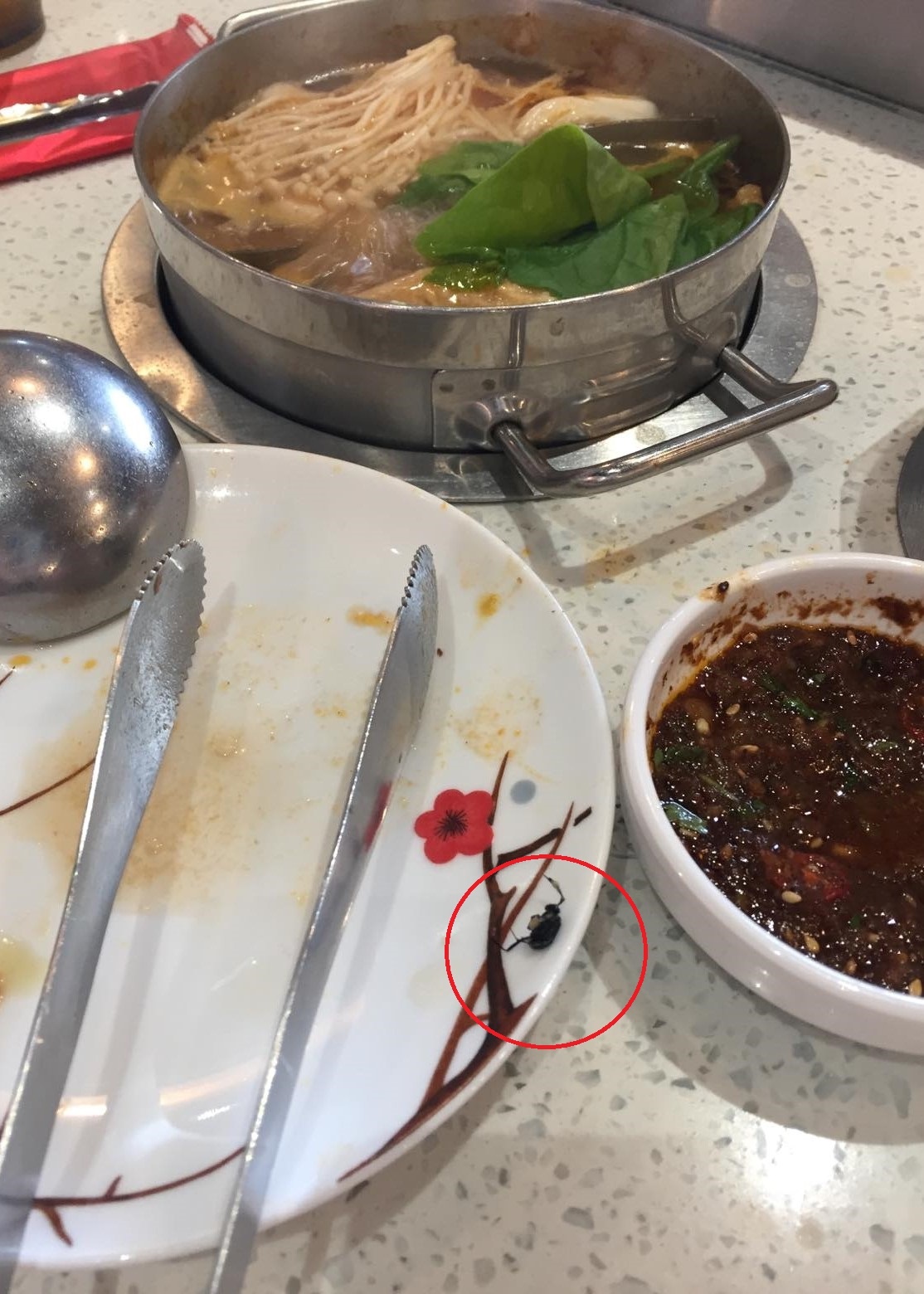 tiktoker review đồ ăn ảnh 4 tiktoker review do an anh 4