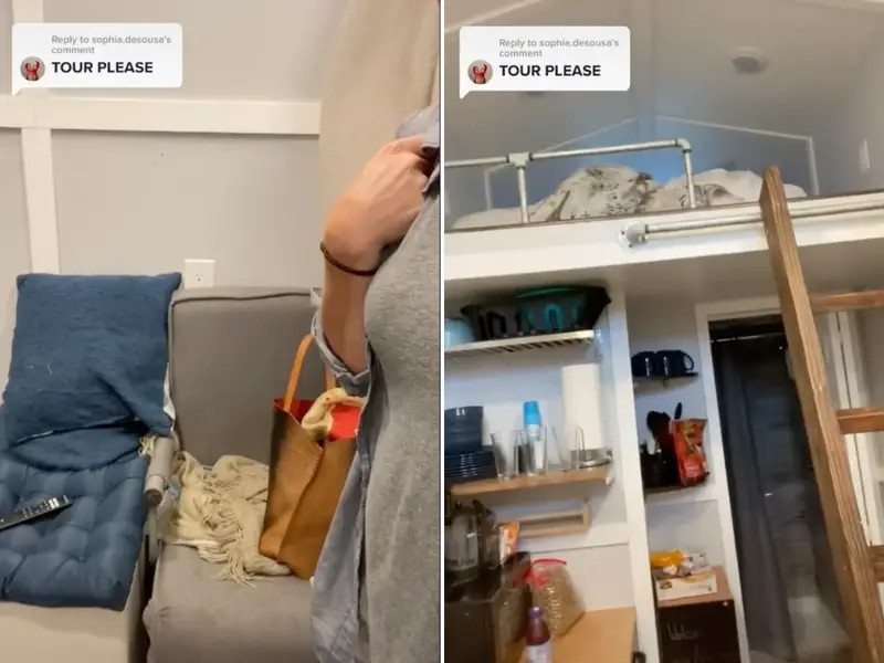 thue nham nha sieu nho anh 3