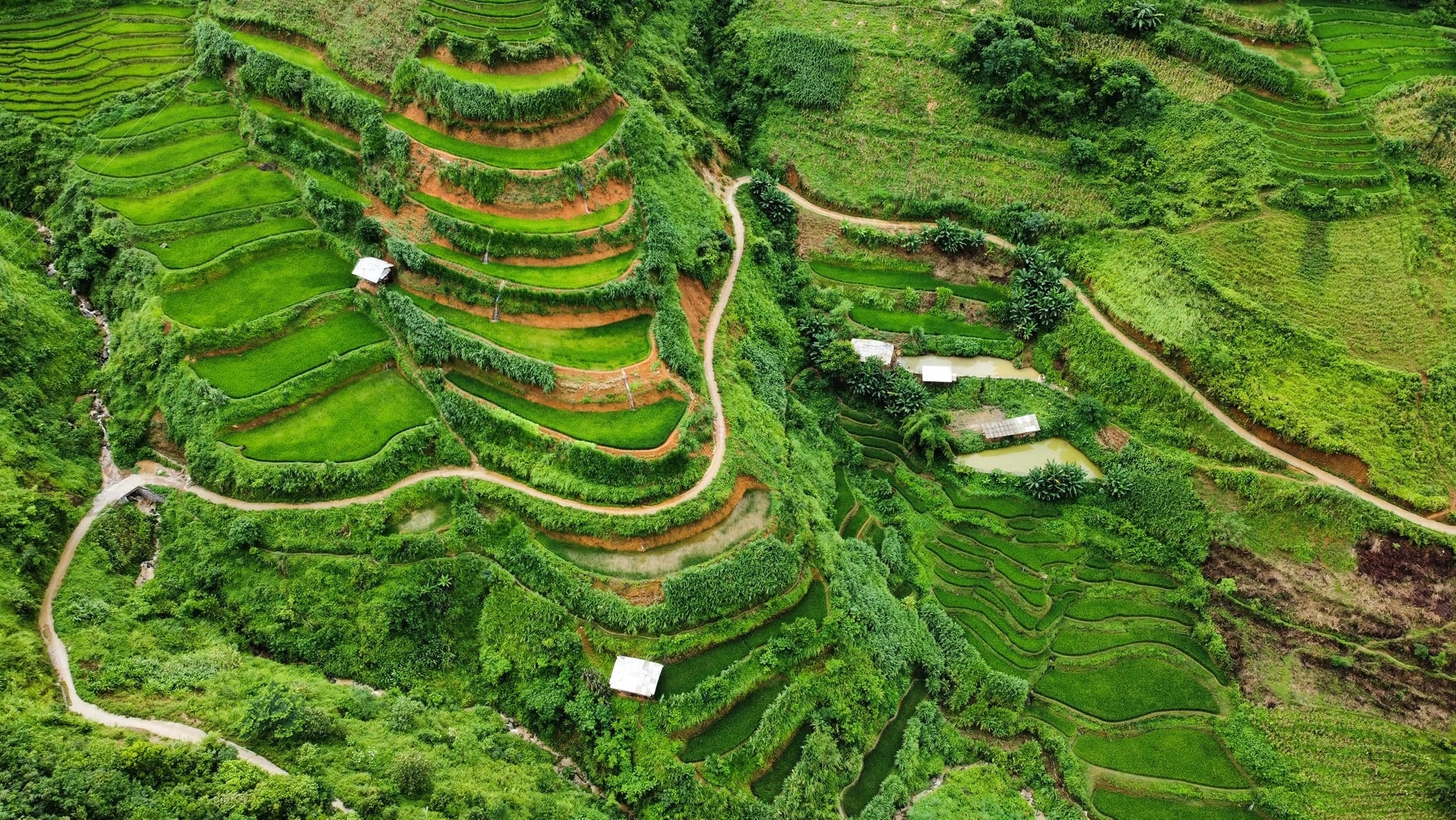 dap xe xuyen Viet Nam anh 4